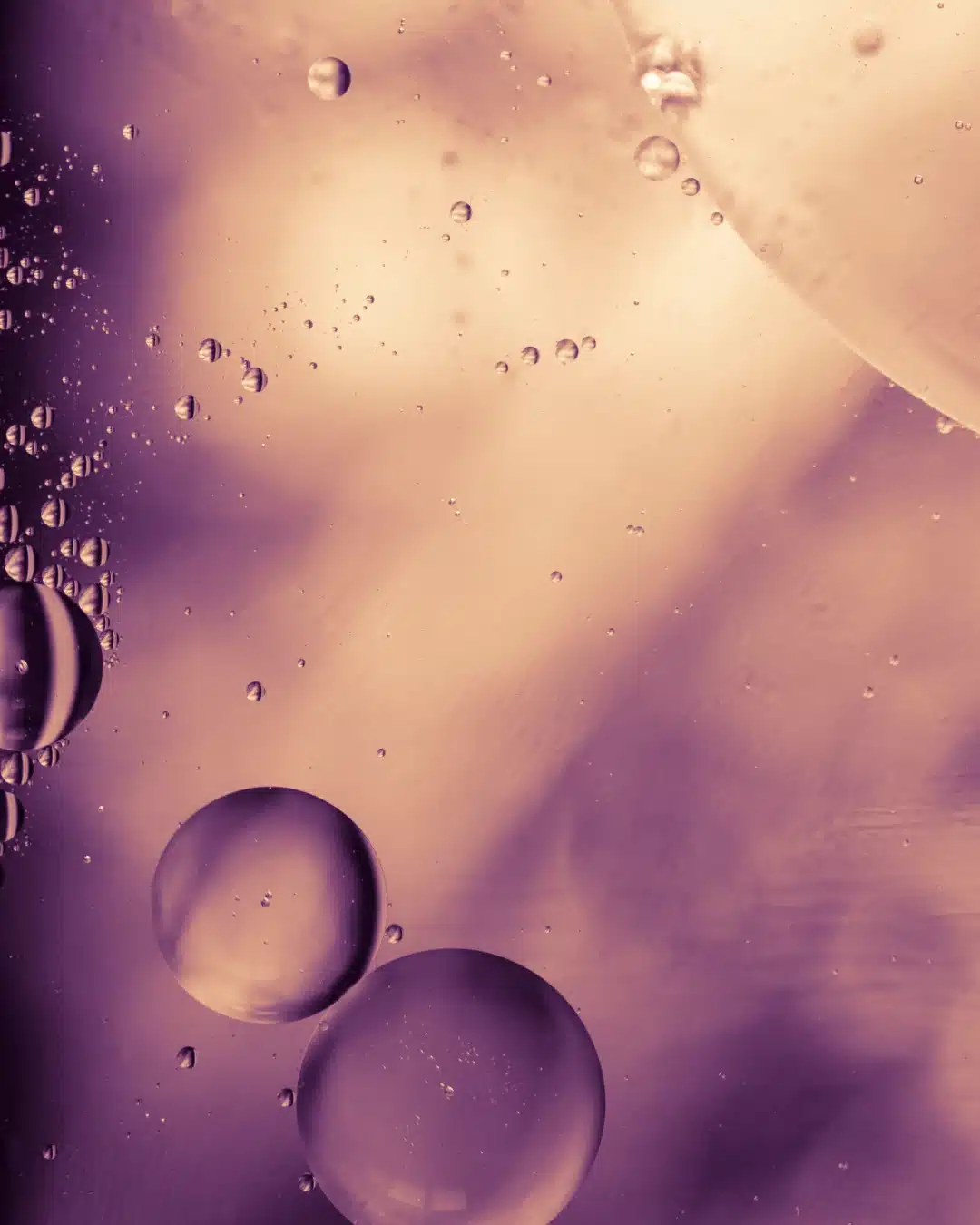 billbery oil chanand ingredient